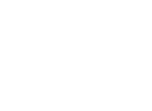 Telcotech logo